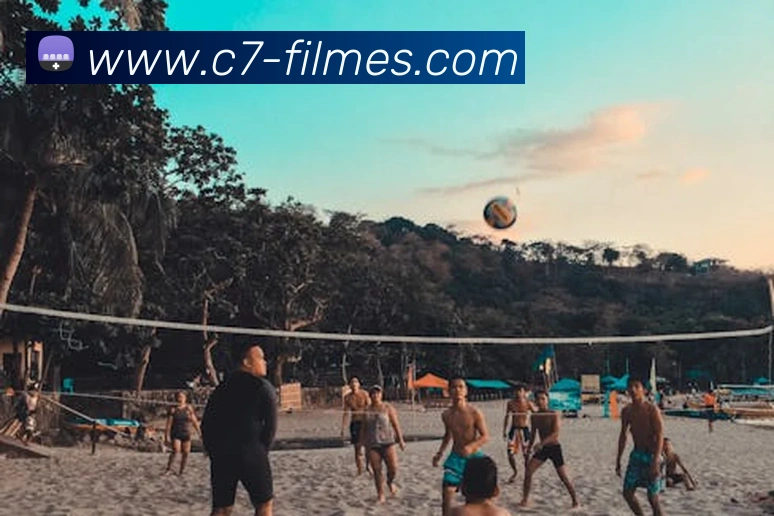 c7娱乐服务体系